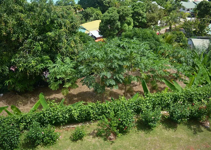 Manfiyo Apartment *